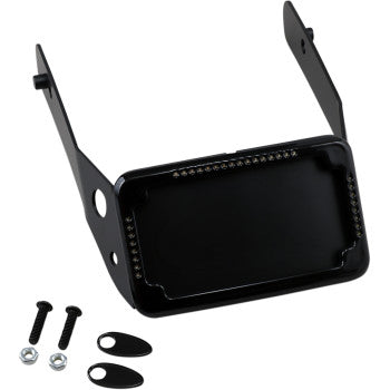 CYCLE VISIONS- Curved License Plate Mounts w/ Frame and LED Lights