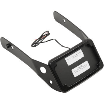 CYCLE VISIONS- Curved License Plate Mounts w/ Frame and LED Lights
