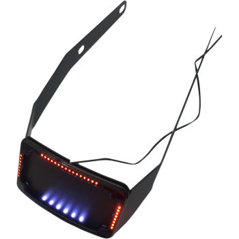 CYCLE VISIONS- Curved License Plate Mounts w/ Frame and LED Lights