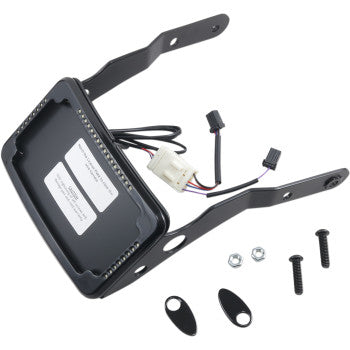 CYCLE VISIONS- Curved License Plate Mounts w/ Frame and LED Lights