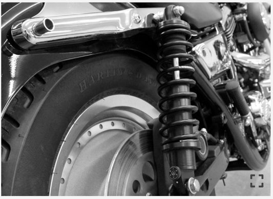 LEGEND SUSPENSION- REVO-A COIL SUSPENSION- FXR