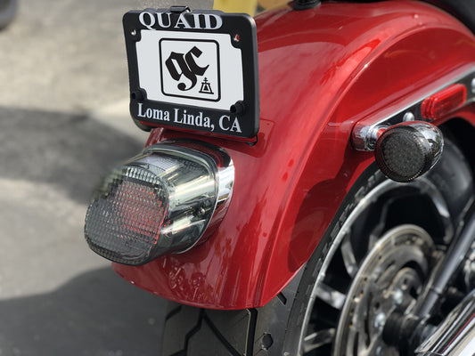 Guerrilla Cables- 2018-2024 Softail Rear Fender Harness