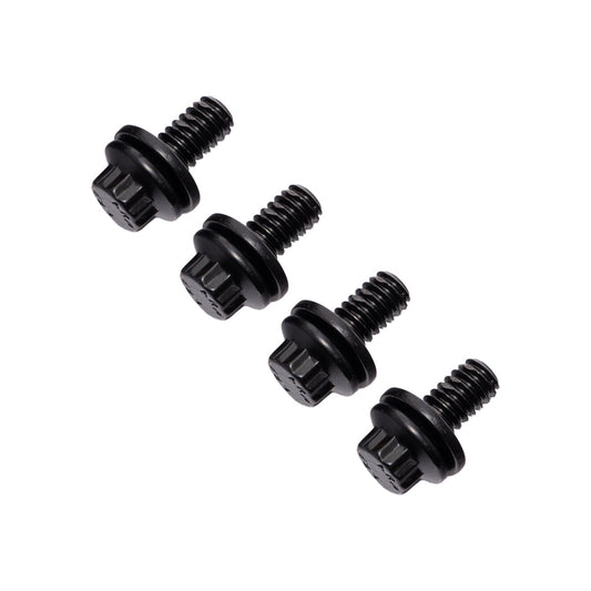 ARP Black Oxide Chrome Moly Bolt Kit for Low Rider S& ST Front Fender